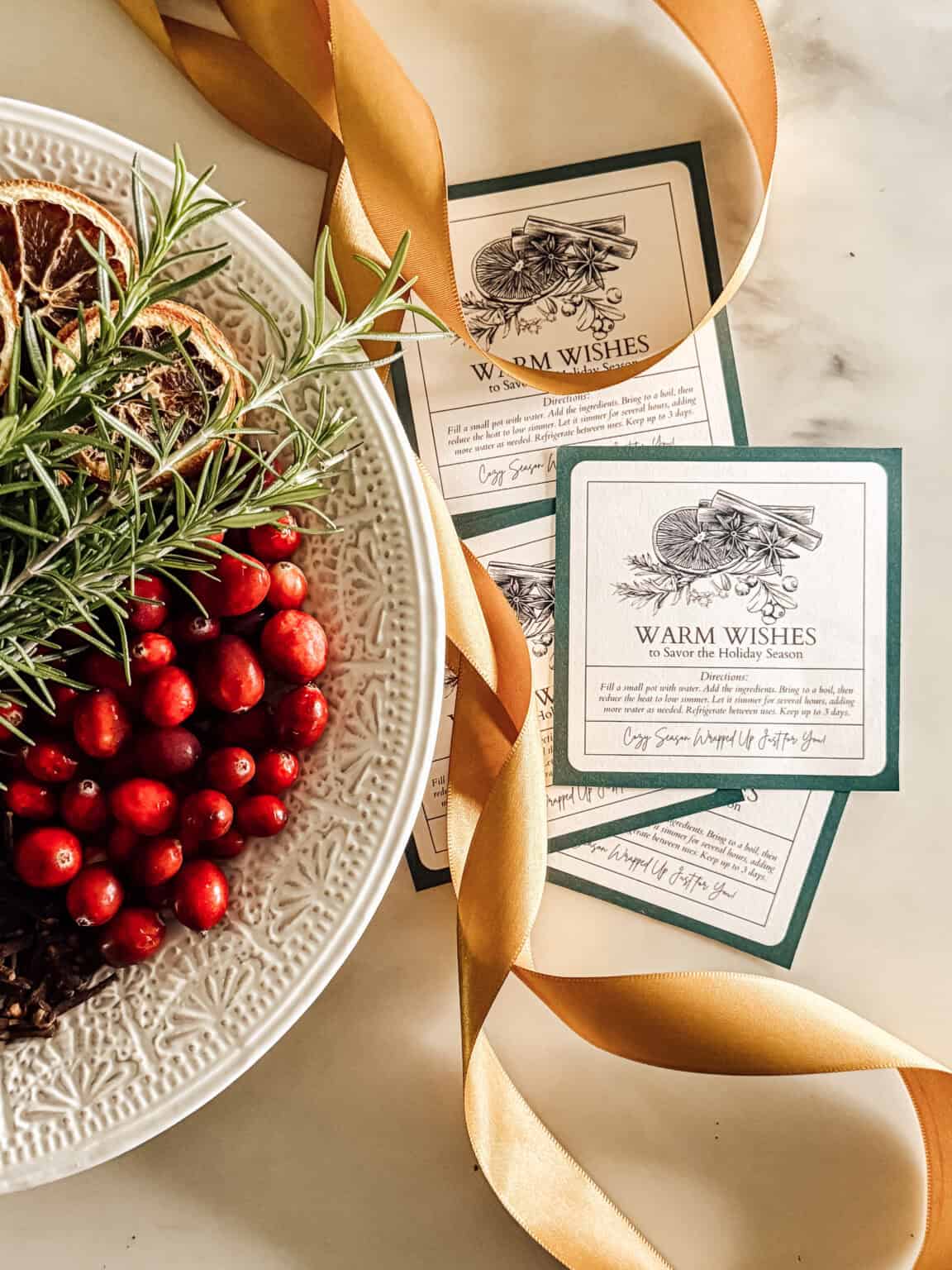 Christmas Simmer Pot Recipe and Free Printable Gift Tag